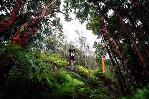 BIB: 
                            <button type="button" onclick="openModal(26202268)" class="btn btn-primary btn-sm float-right btn-popup" data-toggle="modal" data-target=".modal-high-quality">
                        <i class="fas fa-shopping-cart"></i> Add to Cart
                    </button>
                                            <button type="button" onclick="isThisMe(26202268, true)" class="btn btn-success btn-sm float-right btn-popup btn-isme hidden" data-toggle="tooltip" data-placement="bottom" title="นี่คือรูปของคุณใช่ไหม คลิกที่นี่เพื่อเอาเข้าอัลบั้ม">
                        <i class="fas fa-plus"></i> Add to album
                    </button>
                    <button type="button" onclick="isThisMe(26202268, false)" class="btn btn-warning btn-sm float-right btn-popup btn-isnotme hidden">
                        <i class="fas fa-ban"></i> Remove from album
                    </button>